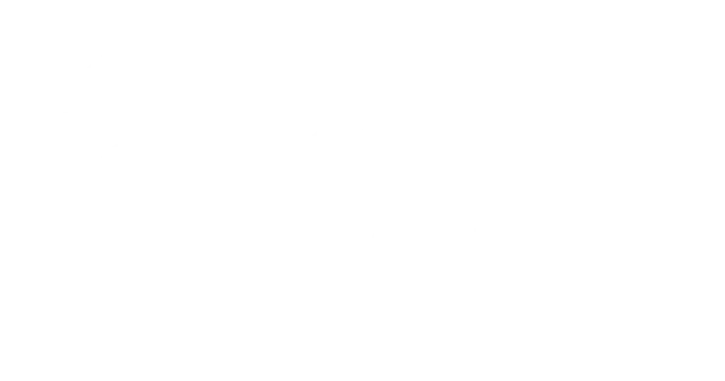 Logotipo LOTSAVER